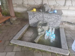 당근한개님의 기타작물 · 자유게시판 작성글 사진