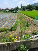 팜모닝 콩·자유게시판 게시글 이미지