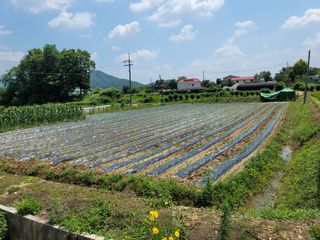 최선화님의 콩 · 자유게시판 작성글 사진