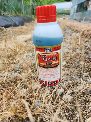 농부지기님의 최고의 제초제는 무엇인가요? · 참여 작성글 사진
