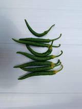 팜모닝 고추·병해충상담 게시글 이미지