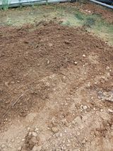 팜모닝 상추·영농일지 게시글 이미지