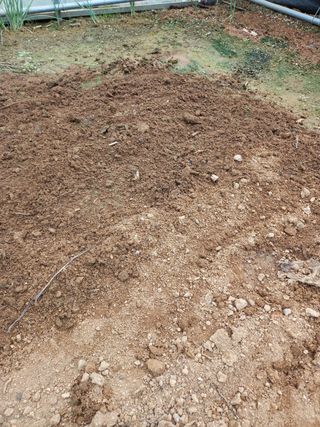 고추농사님의 상추 · 영농일지 작성글 사진