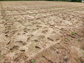 쏭이네농장(현자)님의 자유주제 · 자유게시판 작성글 사진