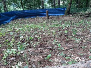 이재옥님의 기타작물 · 영농일지 작성글 사진