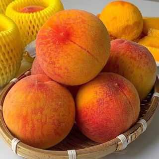 박원용님의 복숭아 · 자유게시판 작성글 사진