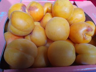 박원용님의 복숭아 · 자유게시판 작성글 사진