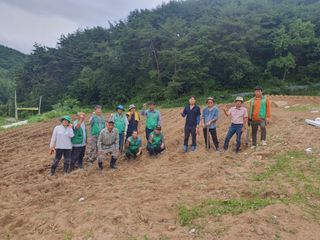 강원도 횡성군님의 들깨 · 자유게시판 작성글 사진