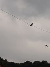 팜모닝 자유주제·자유게시판 게시글 이미지