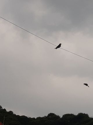 새리님의 자유주제 · 자유게시판 작성글 사진