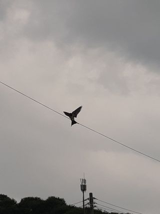 새리님의 자유주제 · 자유게시판 작성글 사진