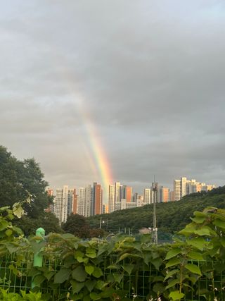 자연을사랑하자님의 우리동네 · 동네수다 작성글 사진