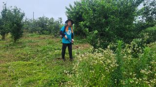 고흥유자님의 기타작물 · 영농일지 작성글 사진