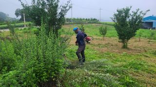 고흥유자님의 기타작물 · 영농일지 작성글 사진