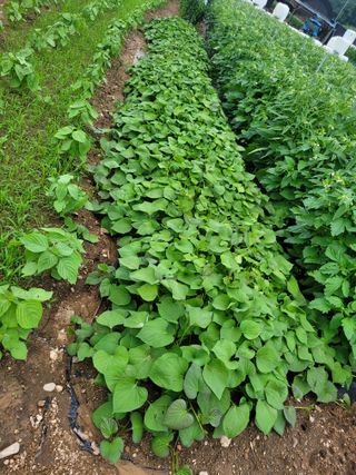 김유숙님의 자유주제 · 자유게시판 작성글 사진