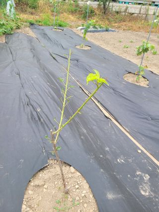 김유숙님의 자유주제 · 자유게시판 작성글 사진