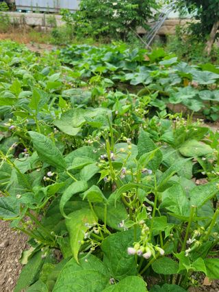 김유숙님의 자유주제 · 자유게시판 작성글 사진