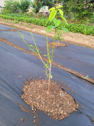 김유숙님의 자유주제 · 자유게시판 작성글 사진