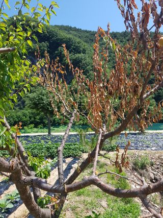 홍&이님의 자유주제 · 자유게시판 작성글 사진