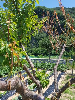 홍&이님의 자유주제 · 자유게시판 작성글 사진