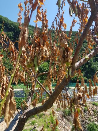 홍&이님의 자유주제 · 자유게시판 작성글 사진