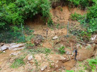 김서운님의 들깨 · 자유게시판 작성글 사진