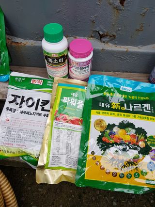 문성농장15146님의 감 · 영농일지 작성글 사진