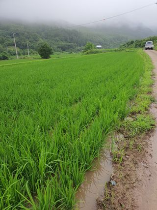 김영복님의 우리동네 · 동네수다 작성글 사진