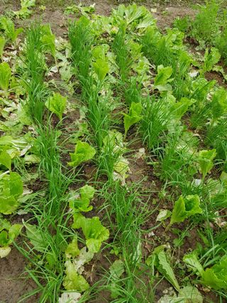 정석구님의 기타작물 · 자유게시판 작성글 사진