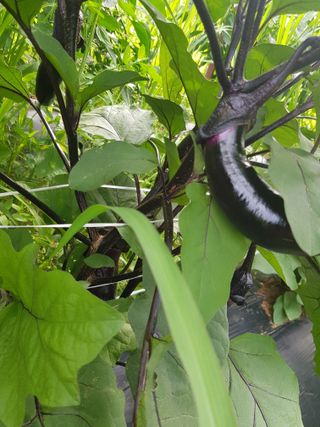 정석구님의 기타작물 · 자유게시판 작성글 사진