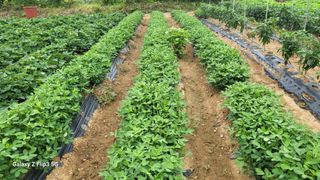 이미경님의 자유주제 · 자유게시판 작성글 사진