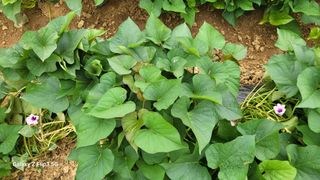 이미경님의 자유주제 · 자유게시판 작성글 사진