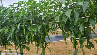 이미경님의 자유주제 · 자유게시판 작성글 사진