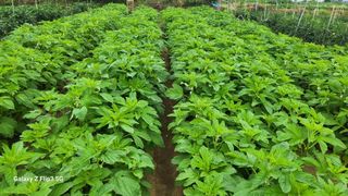 이미경님의 자유주제 · 자유게시판 작성글 사진