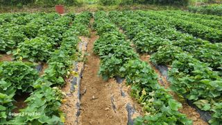 이미경님의 자유주제 · 자유게시판 작성글 사진