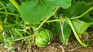 이미경님의 자유주제 · 자유게시판 작성글 사진