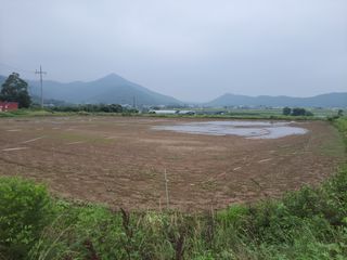 보옥농장(부부)님의 콩 · 영농일지 작성글 사진