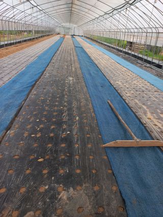 농민님의 기타작물 · 자유게시판 작성글 사진