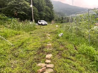 도곡님의 자유주제 · 자유게시판 작성글 사진