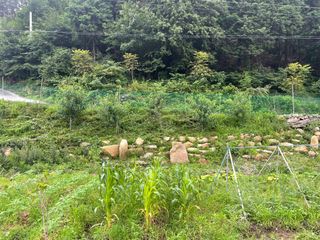 도곡님의 자유주제 · 자유게시판 작성글 사진