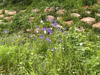 도곡님의 자유주제 · 자유게시판 작성글 사진
