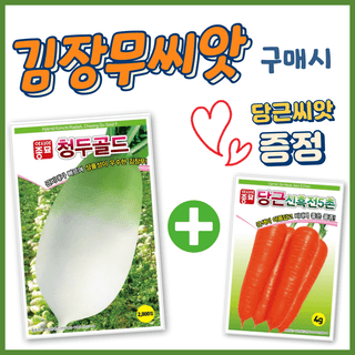 주주씨앗님의 작성글 사진