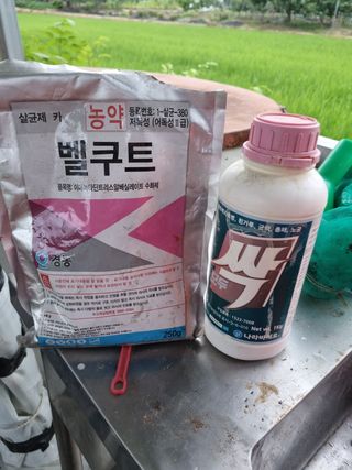 정민지호맘님의 기타작물 · 영농일지 작성글 사진