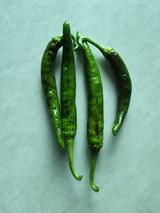 팜모닝 고추·병해충상담 게시글 이미지