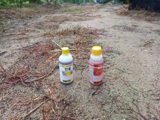 박수웅 님의 최고의 제초제는 무엇인가요? · 참여 작성글 사진