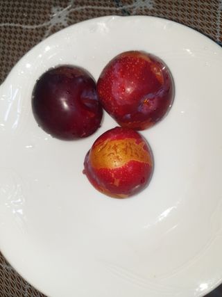 은우농장님의 자두 · 자유게시판 작성글 사진