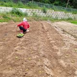 팜모닝 기타작물·자유게시판 게시글 이미지