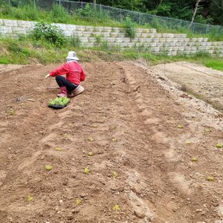 이종권님의 기타작물 · 자유게시판 작성글 사진
