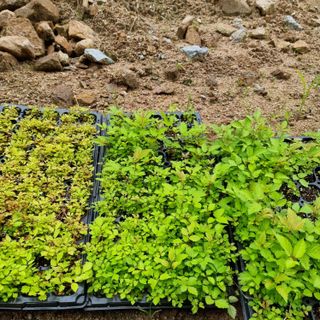 이종권님의 기타작물 · 자유게시판 작성글 사진