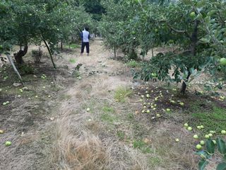 강성민님의 벼 · 영농일지 작성글 사진